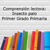 Comprensión lectora: Insecto palo – Primer grado primaria