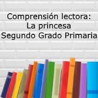 Comprensión lectora: La princesa – Segundo grado primaria