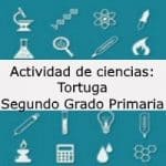 Actividad de ciencias: Tortuga – Segundo grado primaria