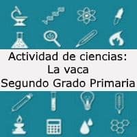 Actividad de ciencias: La vaca – Segundo grado primaria
