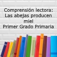 Comprensión lectora: Las abejas producen miel – Primer grado primaria
