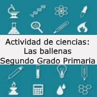 Actividad de ciencias: Las ballenas – Segundo grado primaria