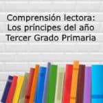 Comprensión lectora: Los principes del año – Tercer grado primaria