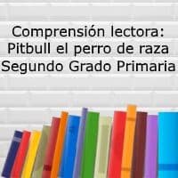 Comprensión lectora: Pitbull el perro de raza – Segundo grado primaria