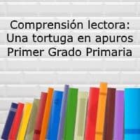 Comprensión lectora: Una tortuga en apuros – Primer grado primaria