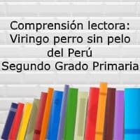 Comprensión lectora: Viringo perro sin pelo del Perú – Segundo grado primaria