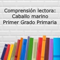 Comprensión lectora: Caballo marino – Primer grado primaria