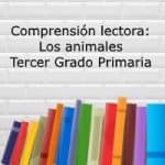 Comprensión lectora: Los animales 1- Tercer grado primaria