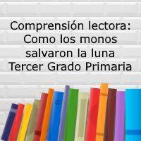 Comprensión lectora: Como los monos salvaron la luna- Tercer grado de primaria