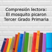 Comprensión lectora: El mosquito picaron – Tercer grado primaria