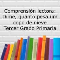 Comprensión lectora: Dime ¿Cuanto pesa un copo de Nieve? – Tercer grado primaria